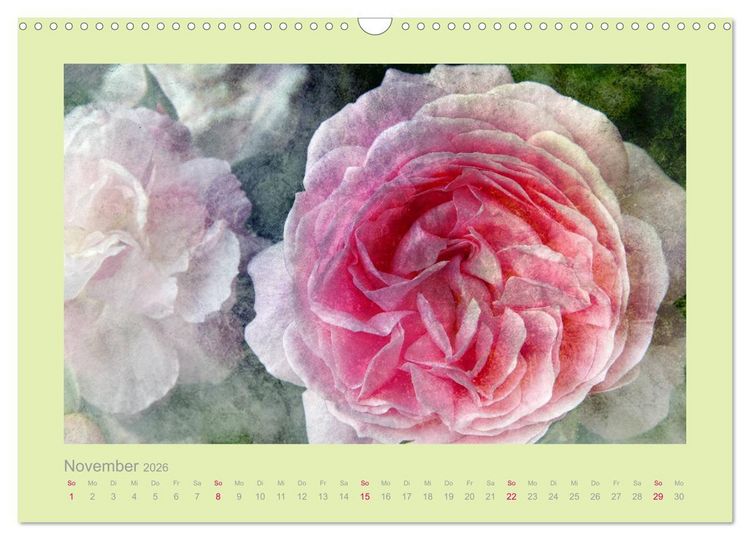Produktbild: Romantische Rosen (Wandkalender 2026 DIN A3 quer), CALVENDO Monatskalender
