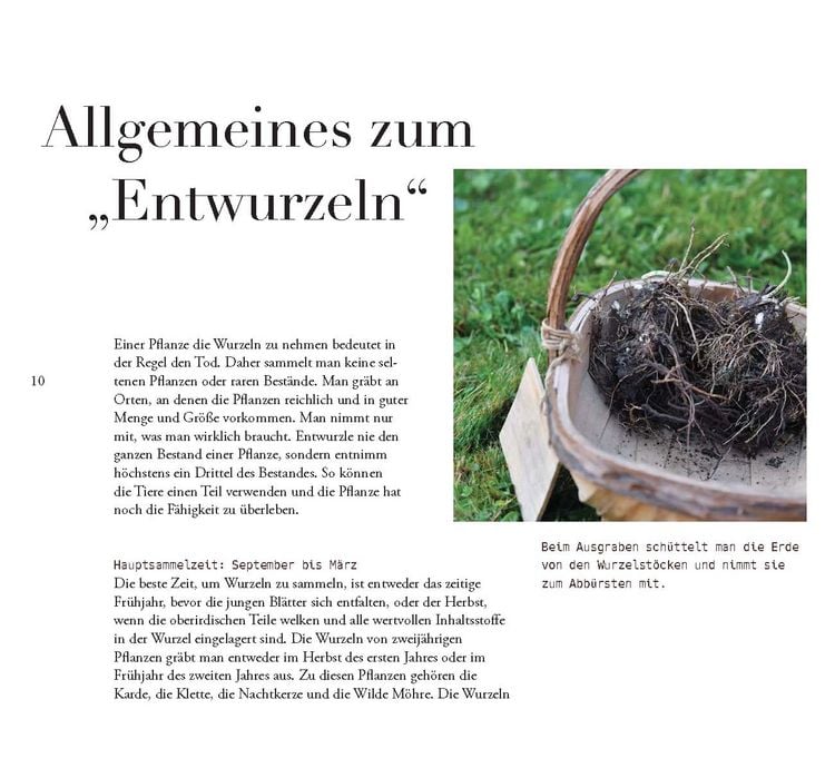 Produktbild: Wildkr&auml;uter, Handarbeit & Brauchtum