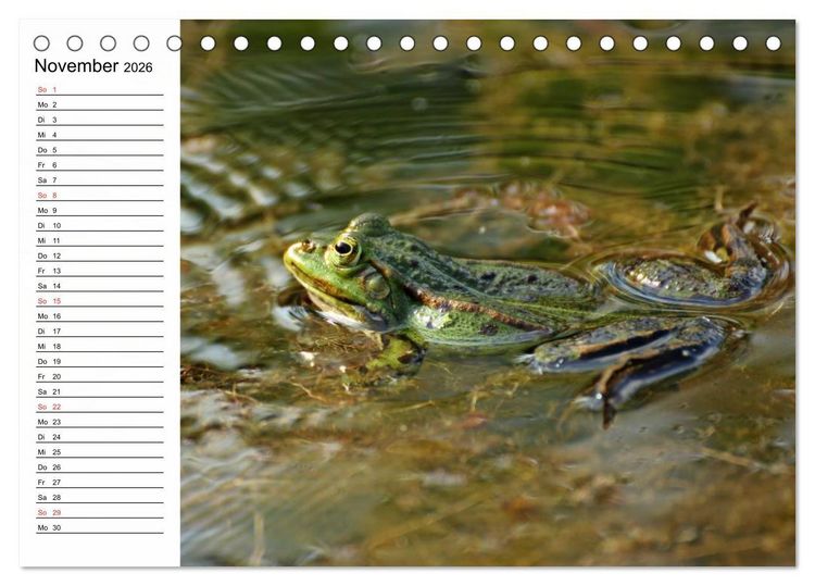 Produktbild: Amphibien und Reptilien (Tischkalender 2026 DIN A5 quer), CALVENDO Monatskalender