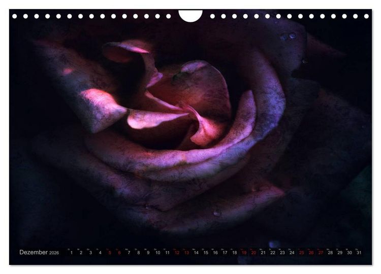 Produktbild: Gothic Rose - Rosen aus dem Garten der Finsternis (Wandkalender 2026 DIN A4 quer), CALVENDO Monatskalender