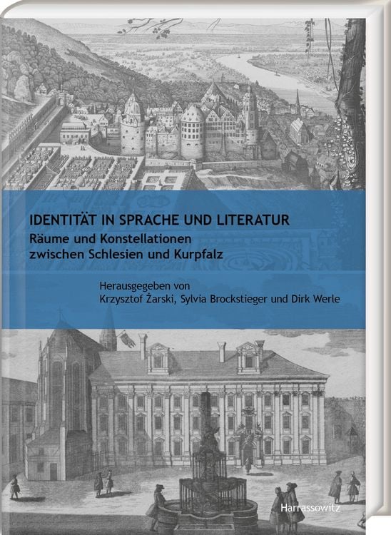 Produktbild: Identit&auml;t in Sprache und Literatur