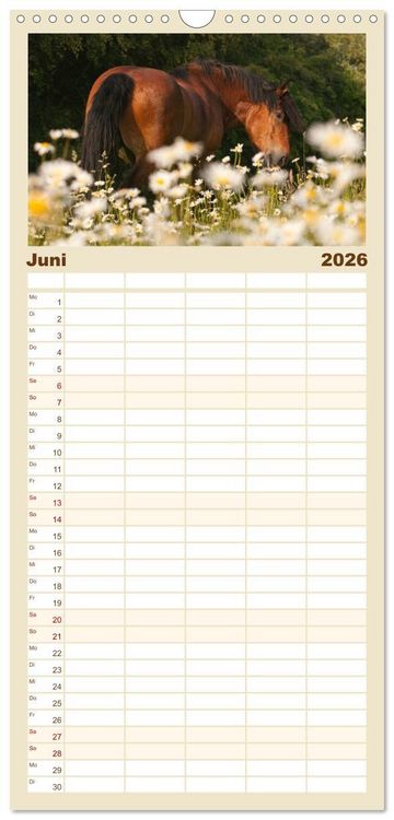 Produktbild: Familienplaner 2026 - Kaltblut - schwere Pferde mit Herz mit 5 Spalten (Wandkalender, 21 x 45 cm) CALVENDO