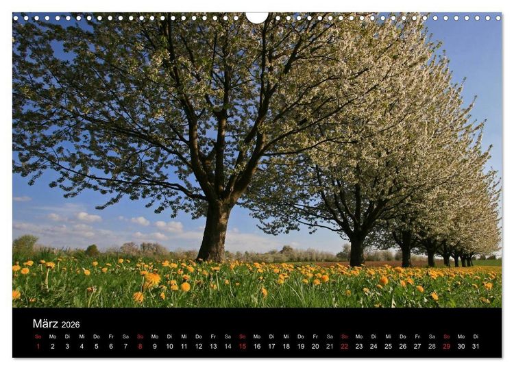 Produktbild: Die Ortenau (Wandkalender 2026 DIN A3 quer), CALVENDO Monatskalender