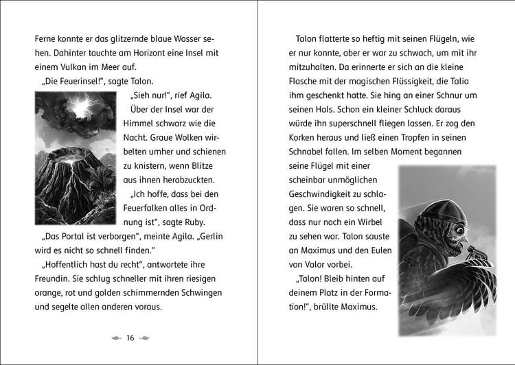 Produktbild: Der letzte Feuerfalke und das magische Ei (Band 13)