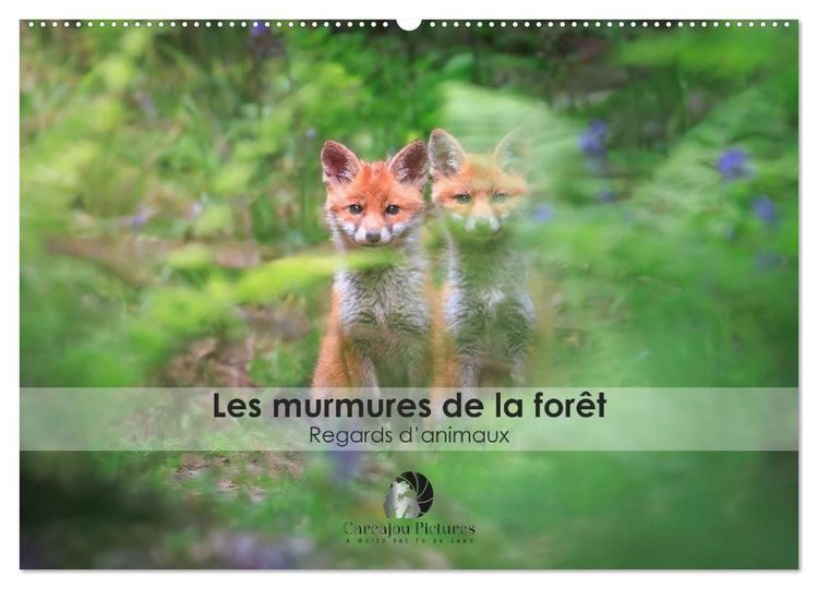 Produktbild: Les murmures de la for&ecirc;t - Regards d'animaux (Calendrier mural 2027 DIN A2 vertical), CALVENDO calendrier mensuel