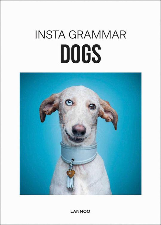 Produktbild: Insta Grammar Dogs