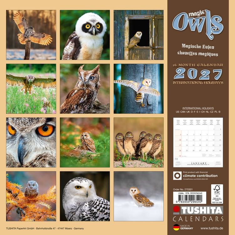 Produktbild: Magic Owls 2027