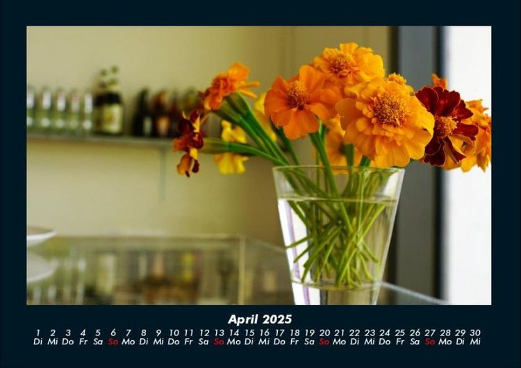 Produktbild: Blumentraum 2025 Fotokalender DIN A4