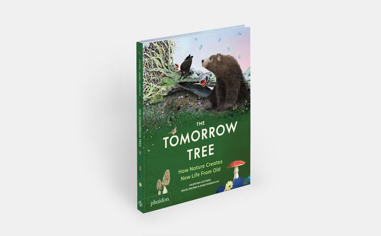 Produktbild: The Tomorrow Tree: How Nature Creates New Life From Old (2025)