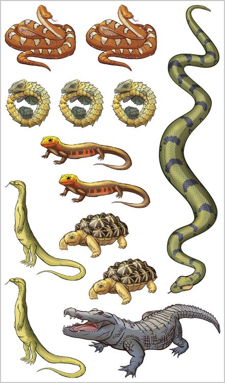 Produktbild: Slithering, Scaly Tattoo Snakes & Other Reptiles