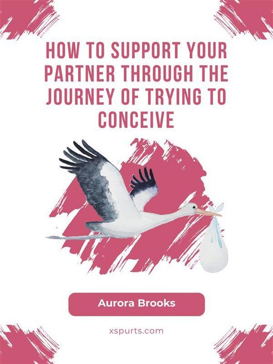 Produktbild: How to Support Your Partner Through the Journey of Trying to Conceive