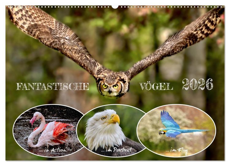Produktbild: Fantastische V&ouml;gel (Wandkalender 2026 DIN A2 quer), CALVENDO Monatskalender