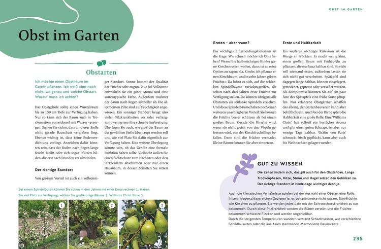 Produktbild: G&auml;rtnern f&uuml;r Gartenneulinge