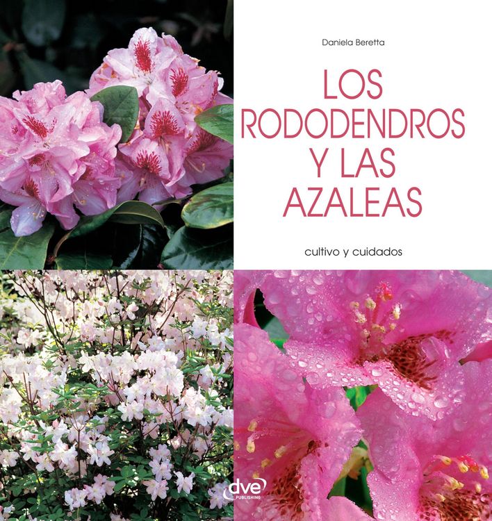 Produktbild: Los rododendros y las azaleas - Cultivo y cuidados
