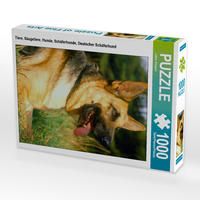 Produktbild: CALVENDO Puzzle Tiere, S&auml;ugetiere, Hunde, Sch&auml;ferhunde, Deutscher Sch&auml;ferhund | 1000 Teile Lege-Gr&ouml;&szlig;e 64x48cm Foto-Puzzle f&uuml;r gl&uuml;ckliche Stunden