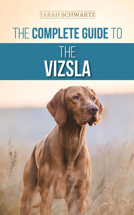 Produktbild: The Complete Guide to the Vizsla: Selecting, Feeding, Training, Exercising, Socializing, and Loving Your New Vizsla