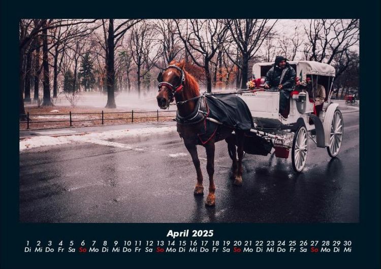 Produktbild: Die Welt der Pferde 2025 Fotokalender DIN A4