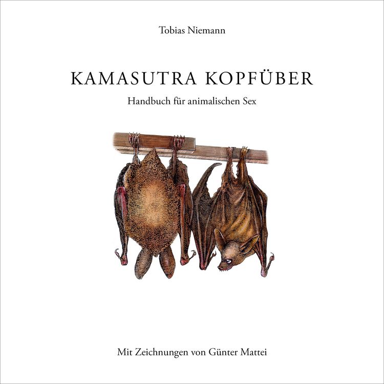 Produktbild: Kamasutra kopf&uuml;ber