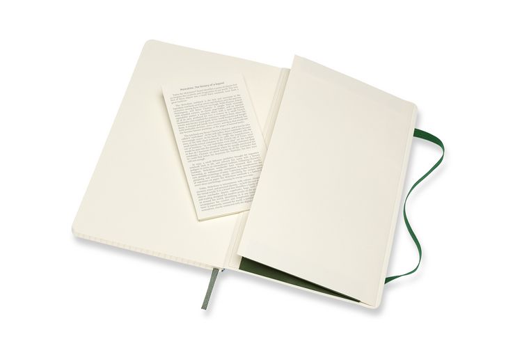 Produktbild: Moleskine Notizbuch Large/A5, Kariert, Myrtengr&uuml;n