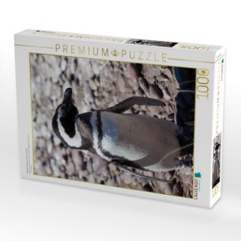 Produktbild: CALVENDO Puzzle Magellan Pinguin in Punta Tombo | 1000 Teile Lege-Gr&ouml;&szlig;e 64x48cm Foto-Puzzle f&uuml;r gl&uuml;ckliche Stunden