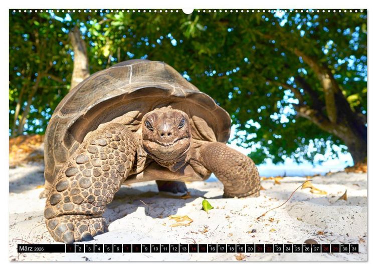 Produktbild: Seychellen Inselblicke (Wandkalender 2026 DIN A2 quer), CALVENDO Monatskalender