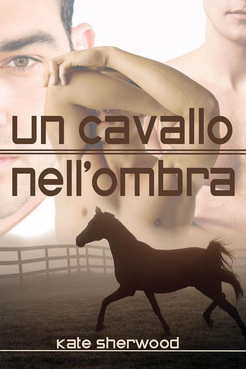 Produktbild: Un cavallo nell'ombra