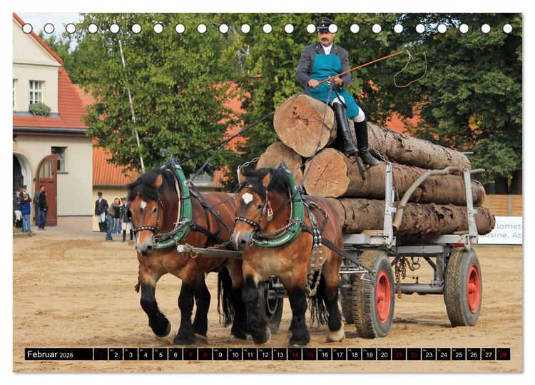 Produktbild: Schwere Pferde 2026 (Tischkalender 2026 DIN A5 quer), CALVENDO Monatskalender