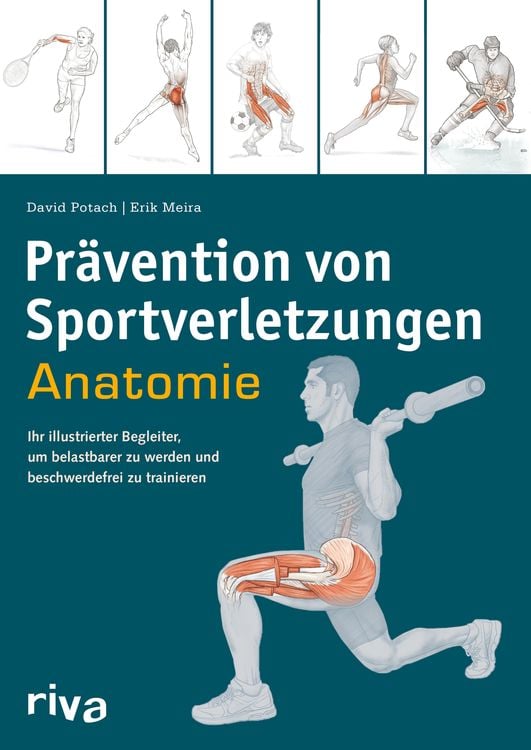 Bild vom Artikel Prävention von Sportverletzungen – Anatomie vom Autor David Potach