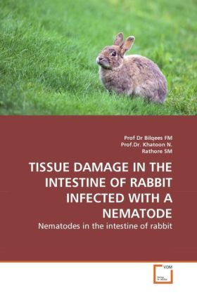 Produktbild: Fm, P: Tissue Damage in The Intestine Of Rabbit Infected Wit