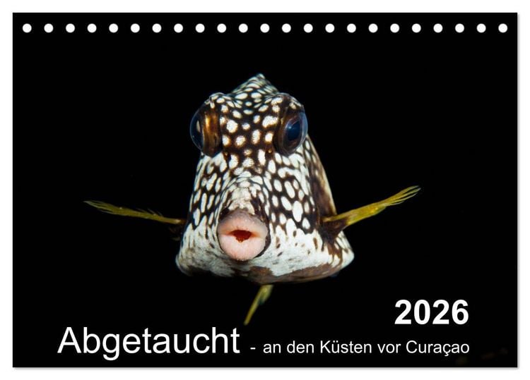 Produktbild: Abgetaucht - an den K&uuml;sten vor Cura&ccedil;ao (Tischkalender 2026 DIN A5 quer), CALVENDO Monatskalender