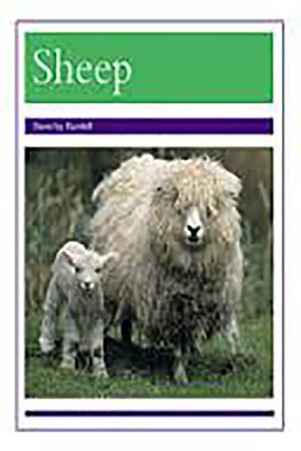 Produktbild: Animals - Sheep: Leveled Reader Bookroom Package Purple (Levels 19-20)