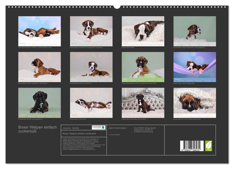 Produktbild: Boxer Welpen einfach zuckers&uuml;&szlig; (hochwertiger Premium Wandkalender 2026 DIN A2 quer), Kunstdruck in Hochglanz