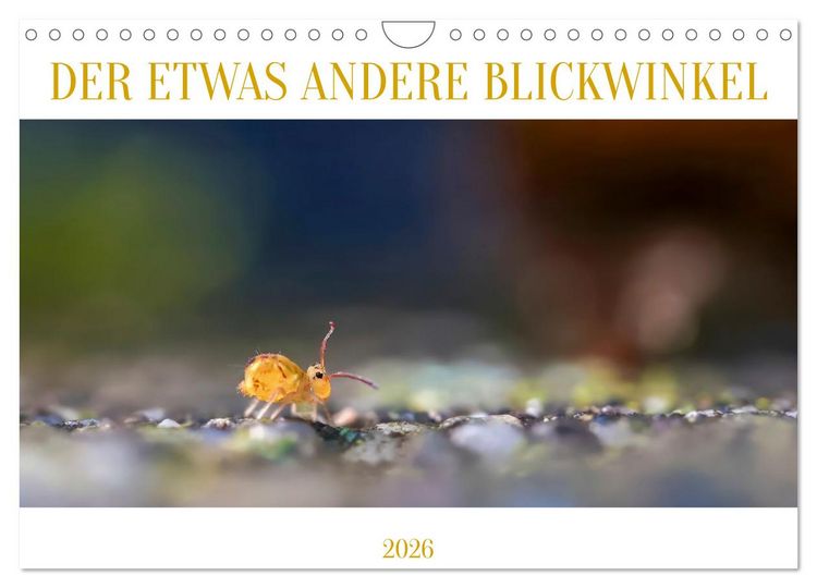 Produktbild: Der etwas andere Blickwinkel (Wandkalender 2026 DIN A4 quer), CALVENDO Monatskalender