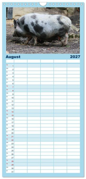 Produktbild: Familienplaner 2027 - Tierische Schweinerei mit 5 Spalten (Wandkalender, 21 x 45 cm) CALVENDO