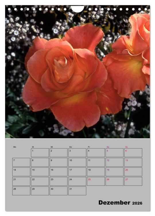 Produktbild: Rosen - Symbol der Liebe und Verehrung (Wandkalender 2026 DIN A4 hoch), CALVENDO Monatskalender
