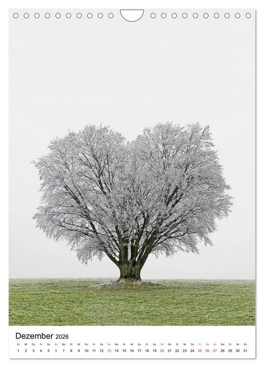 Produktbild: B&auml;ume (Wandkalender 2026 DIN A4 hoch), CALVENDO Monatskalender