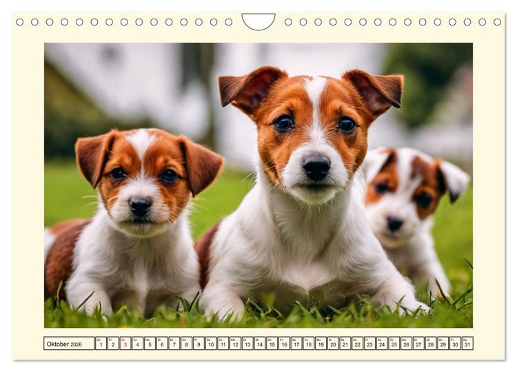 Produktbild: Winzlinge der Hundewelt (Wandkalender 2026 DIN A4 quer), CALVENDO Monatskalender