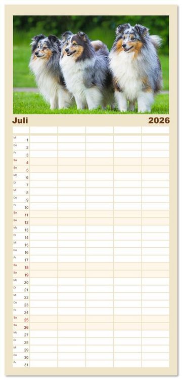 Produktbild: Familienplaner 2026 - Britische H&uuml;tehunde - Treue Freunde auf vier Pfoten mit 5 Spalten (Wandkalender, 21 x 45 cm) CALVENDO