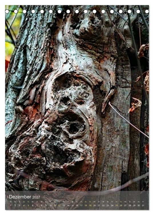 Produktbild: Geister im Wald 2027 (Tischkalender 2027 DIN A5 hoch), CALVENDO Monatskalender