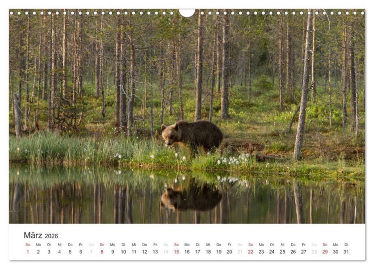 Produktbild: Naturparadies Finnland (Wandkalender 2026 DIN A3 quer), CALVENDO Monatskalender
