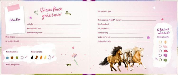 Produktbild: Freundebuch &ndash; Meine Freundinnen und Freunde