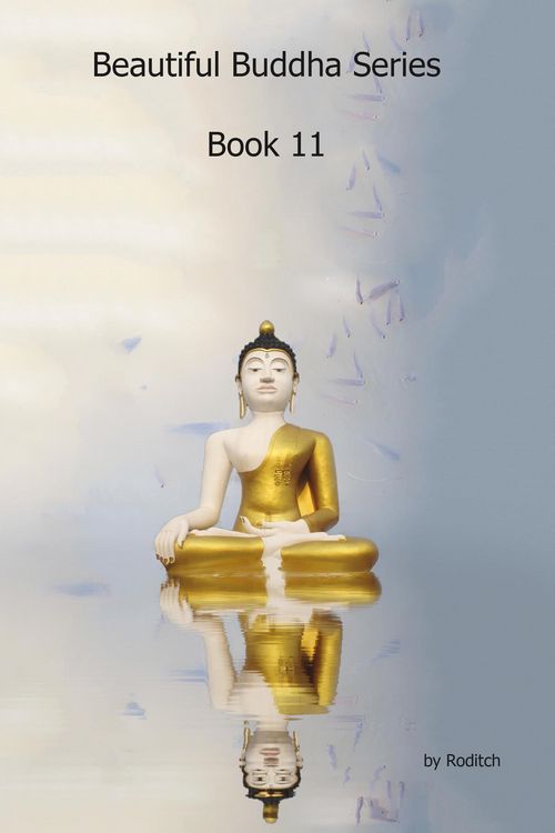 Produktbild: Beautiful Buddha Series Book11