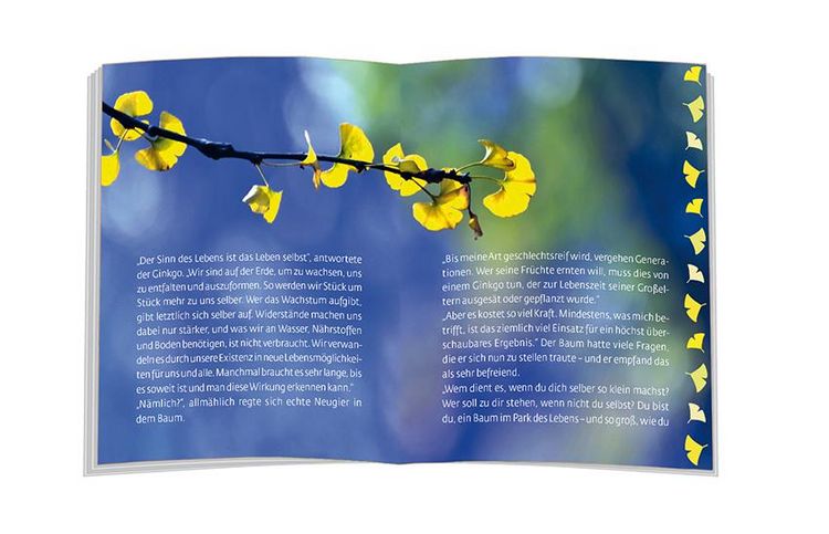 Produktbild: Das M&auml;rchen vom Lebensbaum