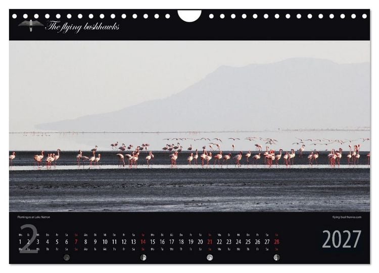 Produktbild: Tansania Blickwinkel 2027 (Wandkalender 2027 DIN A4 quer), CALVENDO Monatskalender