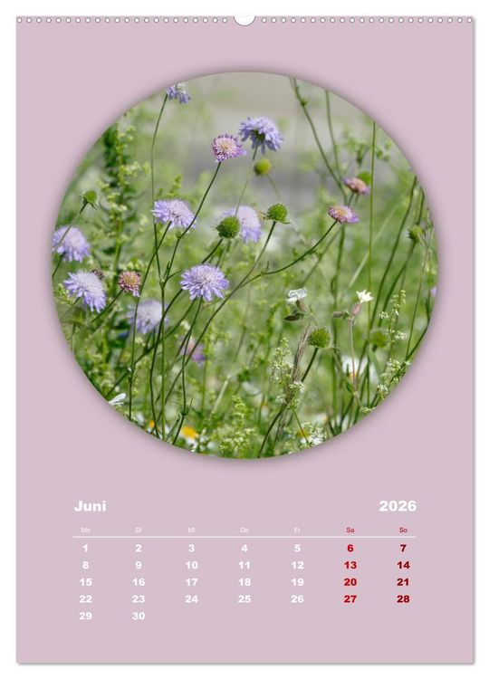 Produktbild: Rundherum Natur (Wandkalender 2026 DIN A2 hoch), CALVENDO Monatskalender