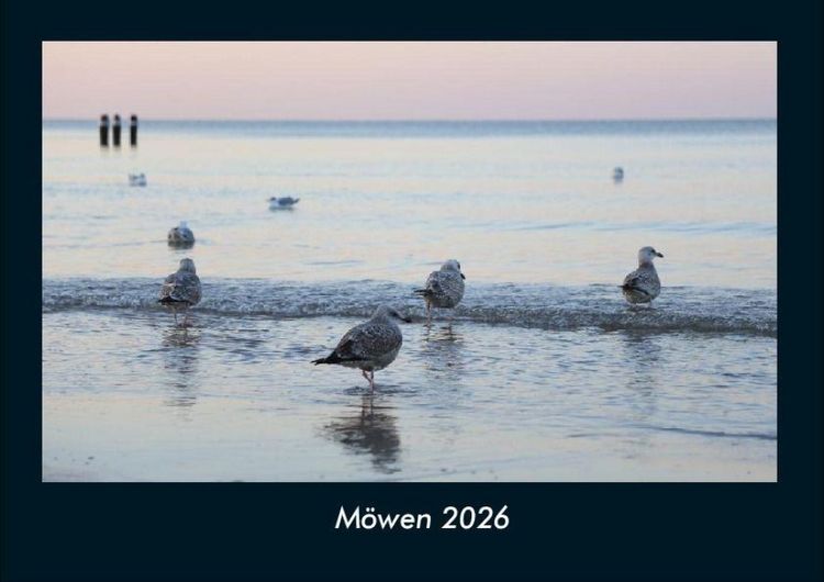 Produktbild: M&ouml;wen 2026 Fotokalender DIN A4