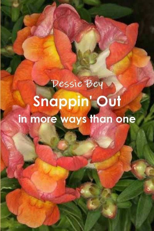 Produktbild: Snappin' Out in more ways than one