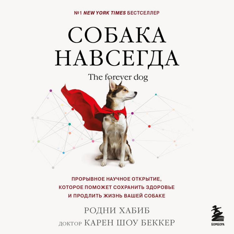 Produktbild: Sobaka navsegda. The forever dog. Proryvnoe nauchnoe otkrytie, kotoroe pomozhet sohranit zdorove i prodlit zhizn vashey sobake