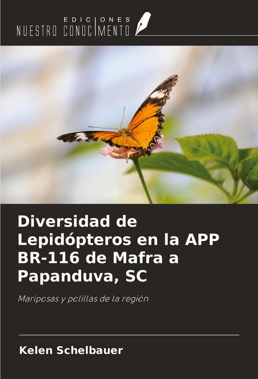 Produktbild: Diversidad de Lepid&oacute;pteros en la APP BR-116 de Mafra a Papanduva, SC