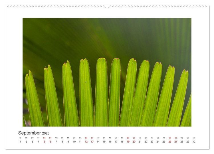Produktbild: Seychellen - unterwegs mit Julia Hahn (Wandkalender 2026 DIN A2 quer), CALVENDO Monatskalender